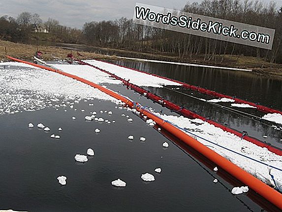 Pirmasis Klimato Pokyčių Nužudytas Ledynas Islandijoje Gauna Vaiduoklių Paminklą