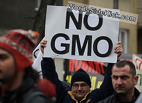 Gmo: Faktai Apie Genetiškai Modifikuotą Maistą