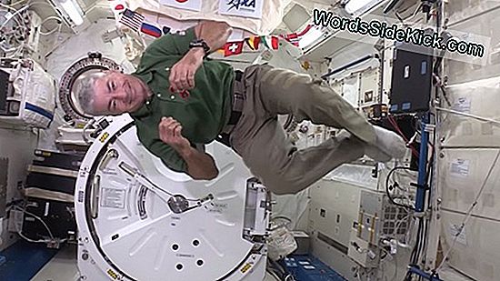 Kodėl Astronautai Turi Treniruotis Tarptautinėje Kosminėje Stotyje?