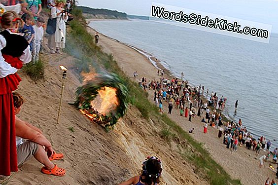 Paķer Mani! Pērtiķi Un Cilvēku Mazuļi Izmanto Līdzīgus Žestus