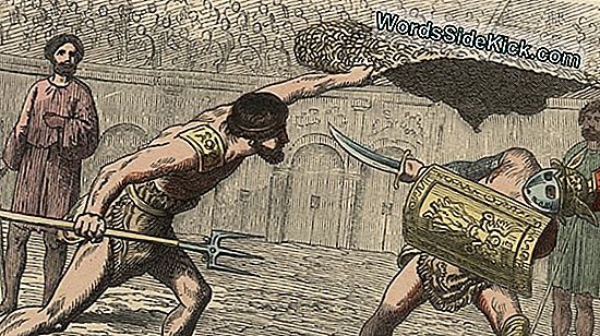 Gladiator Gatorade: Senie Cīnītāji Dzēra Tangy 'Sporta Dzērienu'