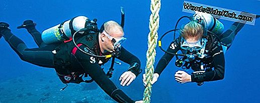 Dziļās Niršanas Roboti Zap, Nogalina Invazīvās Lionfish