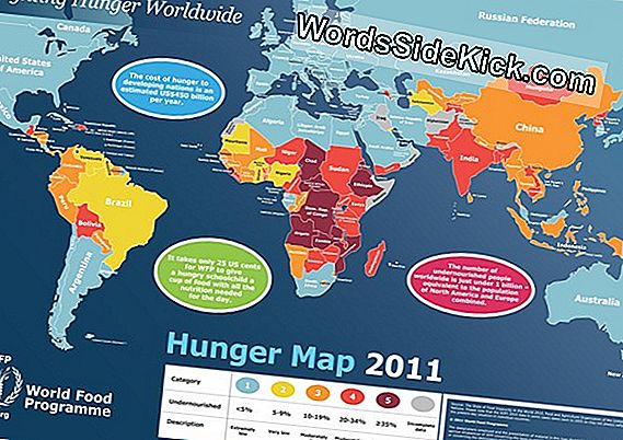 The Science Of Hunger: What 1 Billion People Feel