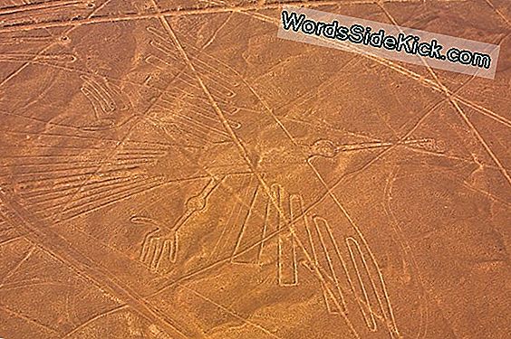 Nazca-Lijnen: Mysterieuze Woestijntekeningen Vormen Labyrint