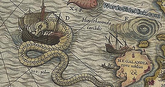 Here Be Dragons: The Evolution Of Sea Monsters On Medieval Maps