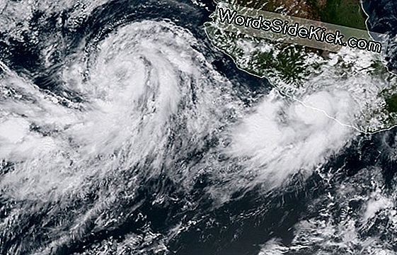 Orkaan Iselle Gedegradeerd Tot Tropische Storm