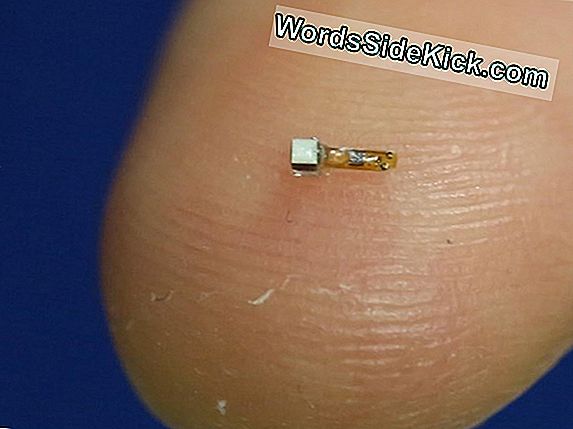 Tiny Implants Kunnen Mensen Zelfgenezingende Superkrachten Geven