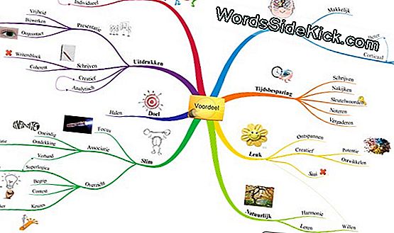 Hoe Brain Mapping Werkt