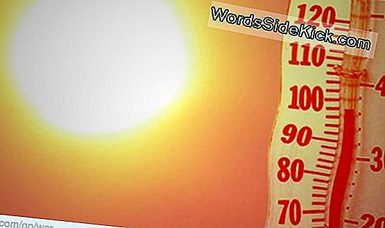 De 100-Jarige Voorspelling: Meer Extreem Weer