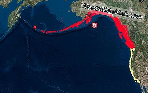 Earthquakes Off Alaska Pose Us Tsunami Risk