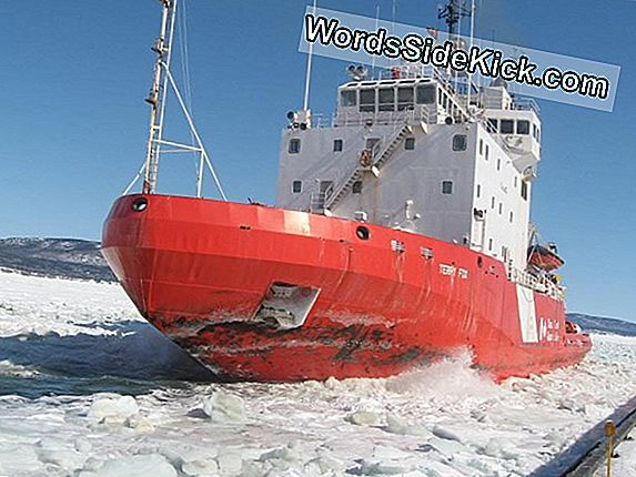 Icebreaker Schepen Wrap Up Arctic Shelf-Mapping