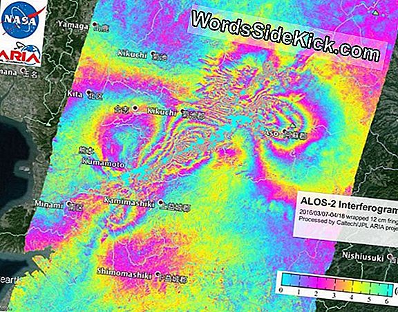 Japan Quake'S Size Surprised Scientists