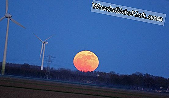 Zal De 19 Maart 'Supermoon' Natuurrampen Uitlokken?