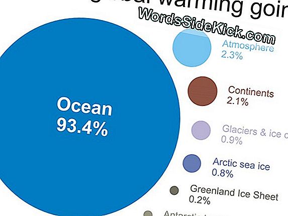 Vergeet Over Global Warming Pause - Het Bestaat Niet