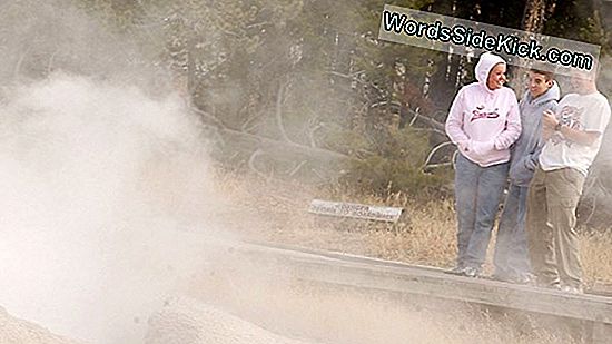 Man Burned In Yellowstone Hot Spring: Waarom Deze Geisers Zo Gevaarlijk Zijn