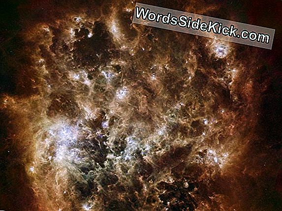 Dusty Star-Spawning Space Cloud Gloeit In Een Verbluffende Foto