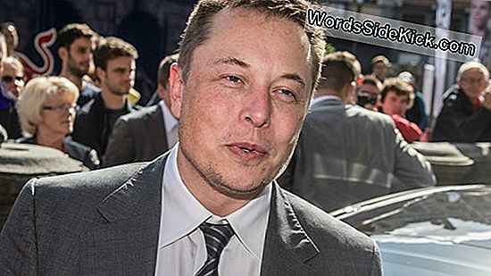 Elon Musk Wil Je Hersenen Automatiseren