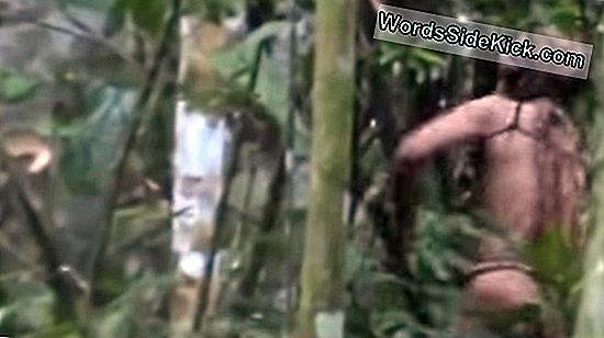 De Laatste Overlevende Van De Ongecontacteerde Stam 'Man Of The Hole' Wordt Gespot In De Amazone