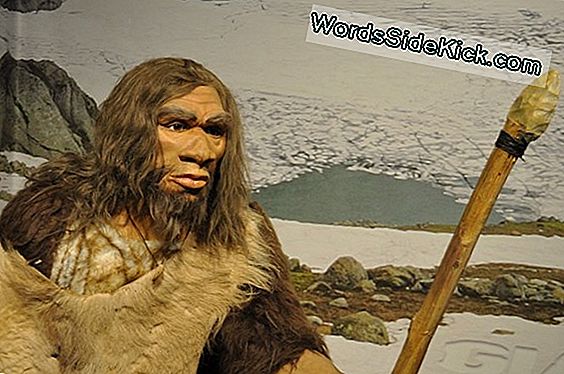 Zijn Deze Neanderthaler-Etsen Een Lang Verloren Boodschap?