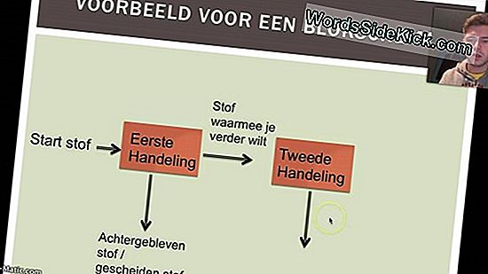 Hoe Wijn Maken Werkt