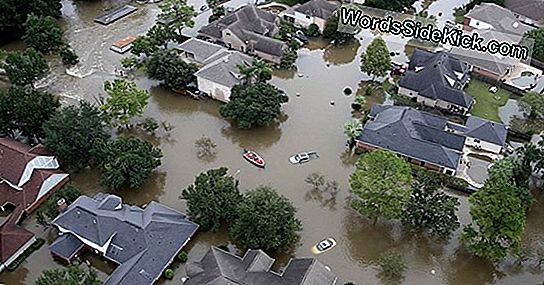 Klimaatverandering Made Recent Hurricanes Wetter. En Ze Kunnen Erger Worden.