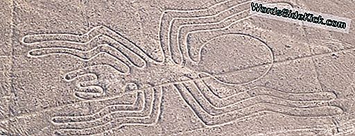 Wat Zijn De Nazca-Lijnen?