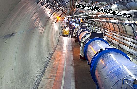 Zal De Large Hadron Collider De Aarde Vernietigen?