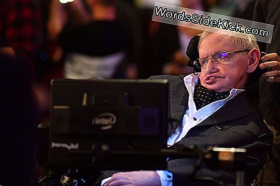 Final Paper Van Stephen Hawking Snijdt Het Multiversum Naar Beneden