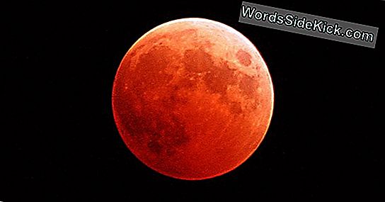 Waarom De Super Blue Blood Moon Eclipse Van Woensdag Zo Speciaal Is