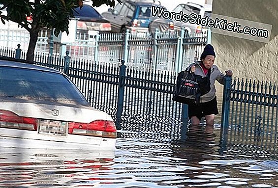 Rzeki Tracą Wodę Z Powodu Zmian Klimatu