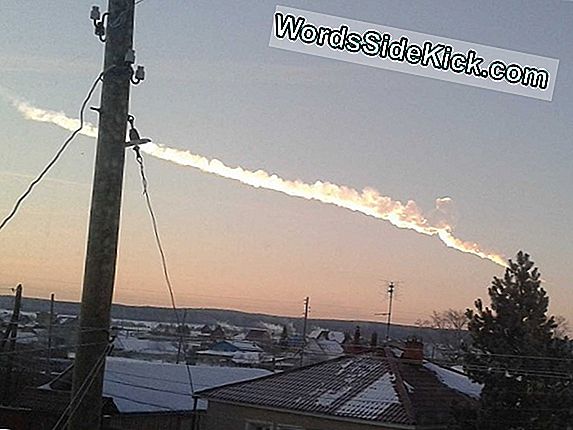 1. Meteoryty Z 1908 R. Prawdopodobnie Znaleziono Eksplozję Tunguska