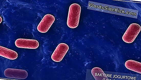 Bakterie W Tętnicach Mogą Być „Tykającymi Bombami Zegarowymi” - Mówią Naukowcy