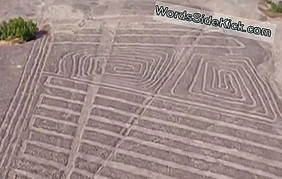 Starsze Niż Nazca: Tajemnicze Linie Skalne Wyznaczają Drogę Do Starożytnych Targów Peru