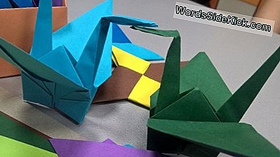 Organy Origami: Ten „Papier Bibułkowy” Może Pomóc W Regeneracji Serca Lub Macicy