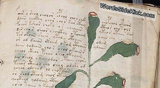 Medieval Text Rozwiązuje Mystery Of Viking-Irish Battle