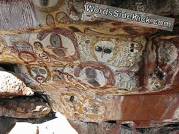 Arte Rupestre Antiga Mapeada Em Detalhes Surpreendentes, Revelando Uma Cobra De 100 Pés