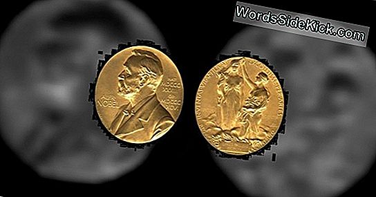 Câștigătorii Premiilor Nobel 2013 Vor Fi Anunțați