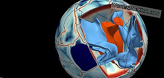 Puzzle Tectonic: De Ce Africa De Vest Nu A Urmat America De Sud