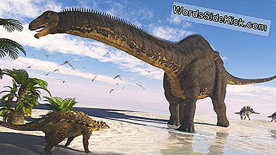 Apatosaur: Fapte Despre „Șopârlă Înșelătoare”
