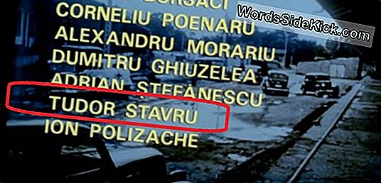 O Persoană Moare Din Mușcatura De Bâte: Cum Ucide Rabia