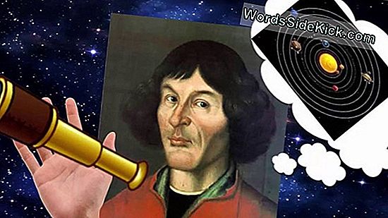 Nicolaus Copernicus Biografie: Fapte Și Descoperiri