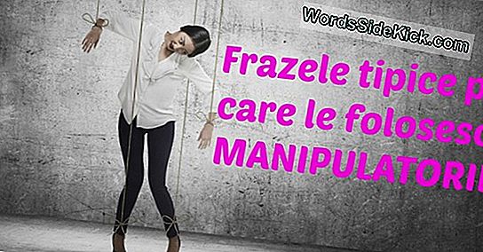 Manipulatorii Au Crezut Că Această Bufniță A Fost Masculă De 23 De Ani - Atunci Când A Depus Un Ou