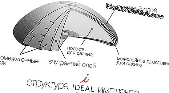 Fda Одобряет Новые Грудные Имплантаты