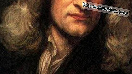 Исаак Ньютон «Граффити» Обнаружен В Историческом Английском Поместье