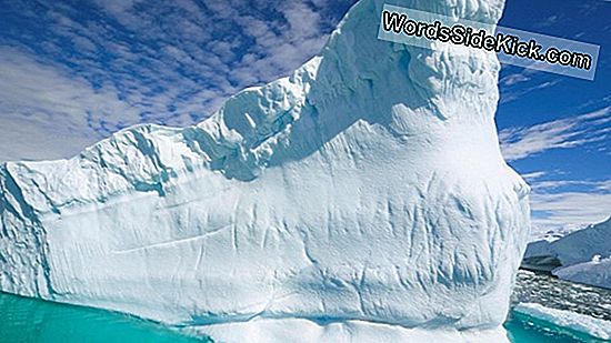 Ледяная Гора Эверест Подвергается Ужасному Зрелищу: Множество Мертвых Тел
