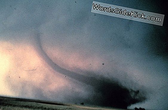 Tornado Season Är En Dud