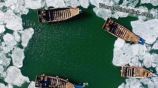 ทะเลน้ำแข็ง: มหาสมุทรโบราณเกิดเพชร
