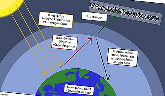 Daha Sera Gazı Üretmek Için Klimaların Artan Kullanımı