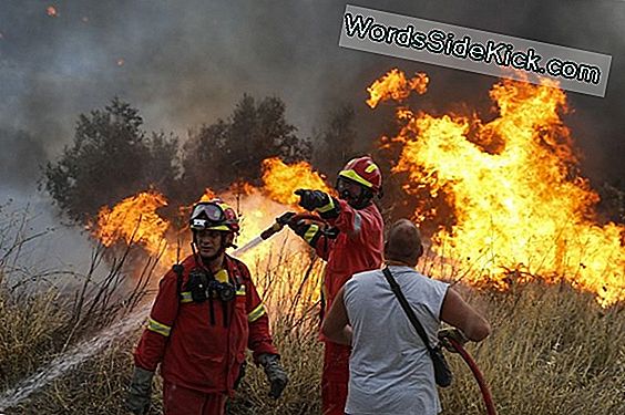 Wildfire Bölgelerinde Insanlar Neden Yaşıyor?