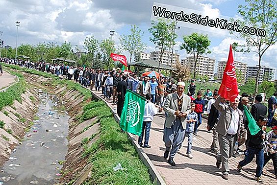 Milyonların En Çok Zenginliği